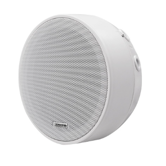 [DSP5311] 6.5" Frame-less Surface Mount Speaker