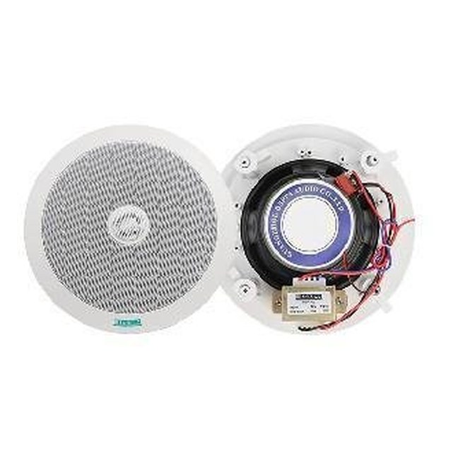 20W Coaxial Ceiling Speaker