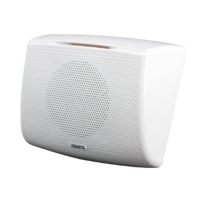 6W Wall Mount Speaker