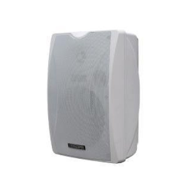 2x10W POE Wall Mount Speaker