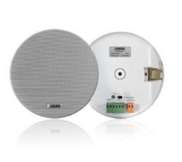 2*10W Active Ceiling Speaker - Standalone Bluetooth - can add 2 speakers 6 Watt